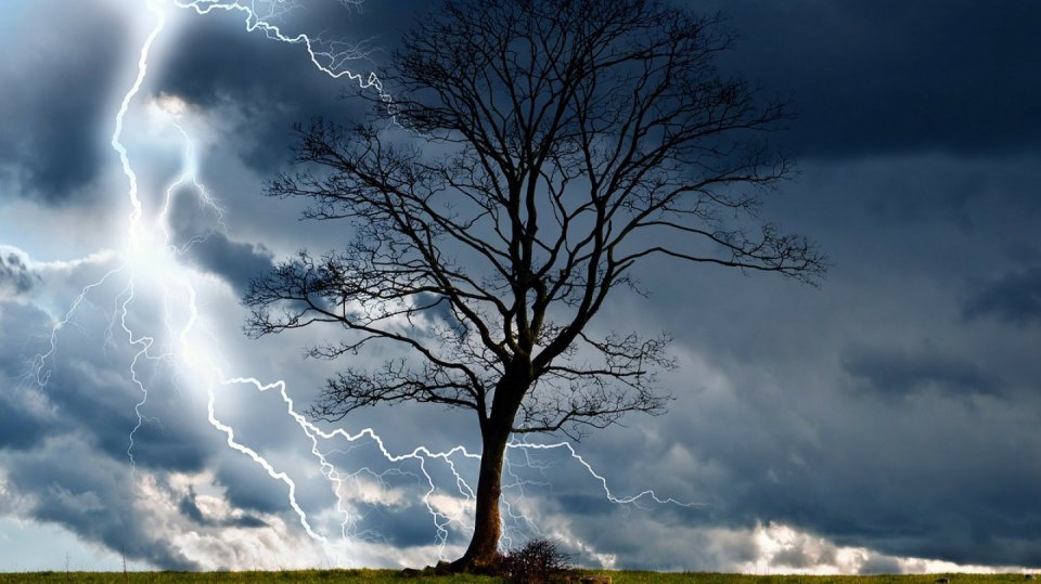 Bouřka, blesk a strom